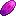 Nerium Petal